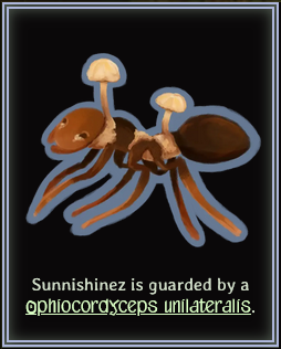 Sunnishinez is guarded by a Ophiocordyceps unilateralis.
